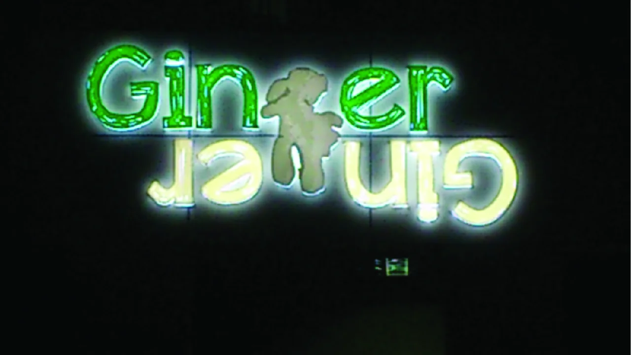 Custom LED neon sign board